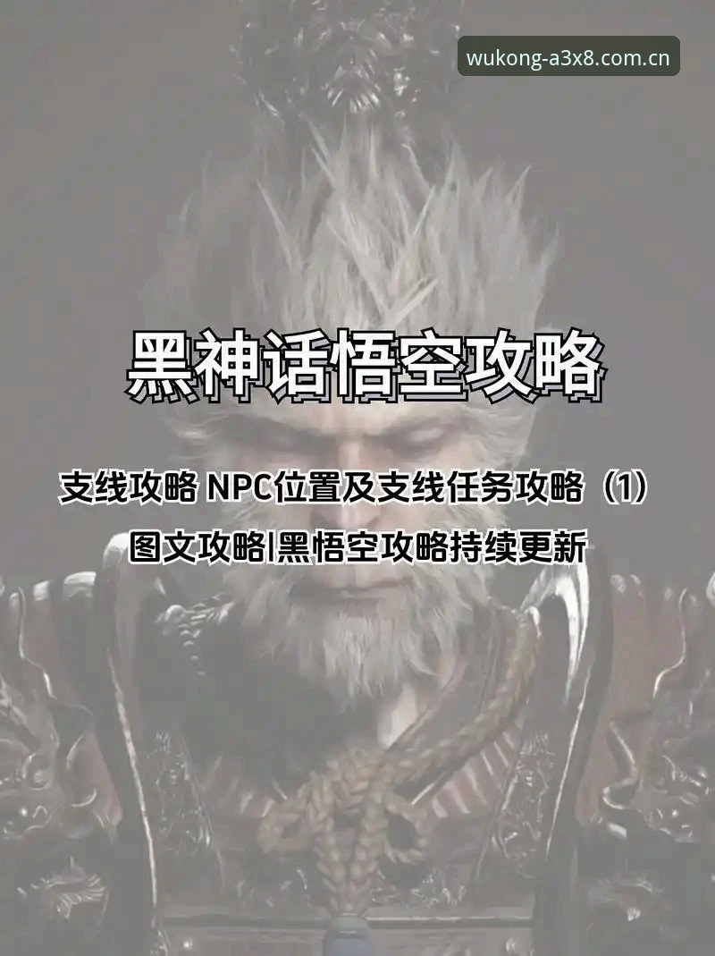 悟空体育版本更新下载全流程深度分析：从A3X8登录到新版本体验
